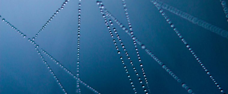 Connected Devolution – systems for successful reorganisation